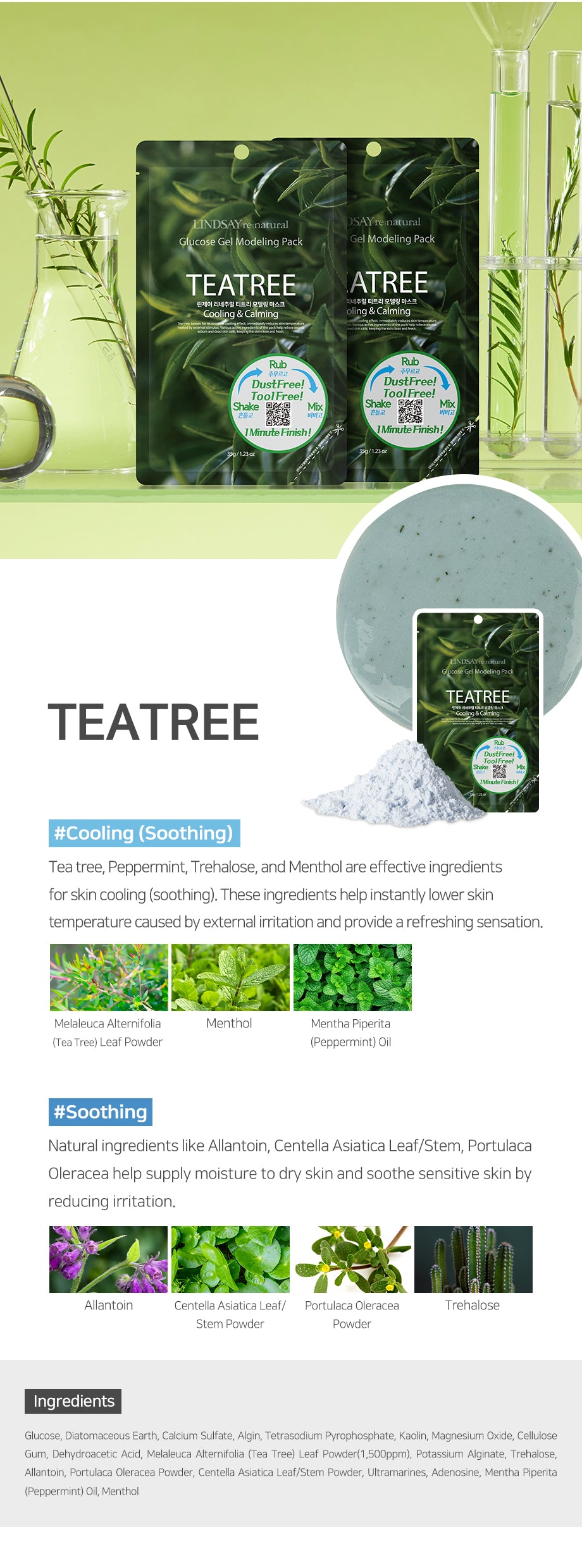 LINDSAY Korean Modeling Mask Pack TeaTree 5 PCS