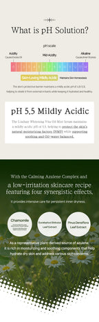 LINDSAY PH Solution Azulene Calming Toner Pad 60PADS 220ML