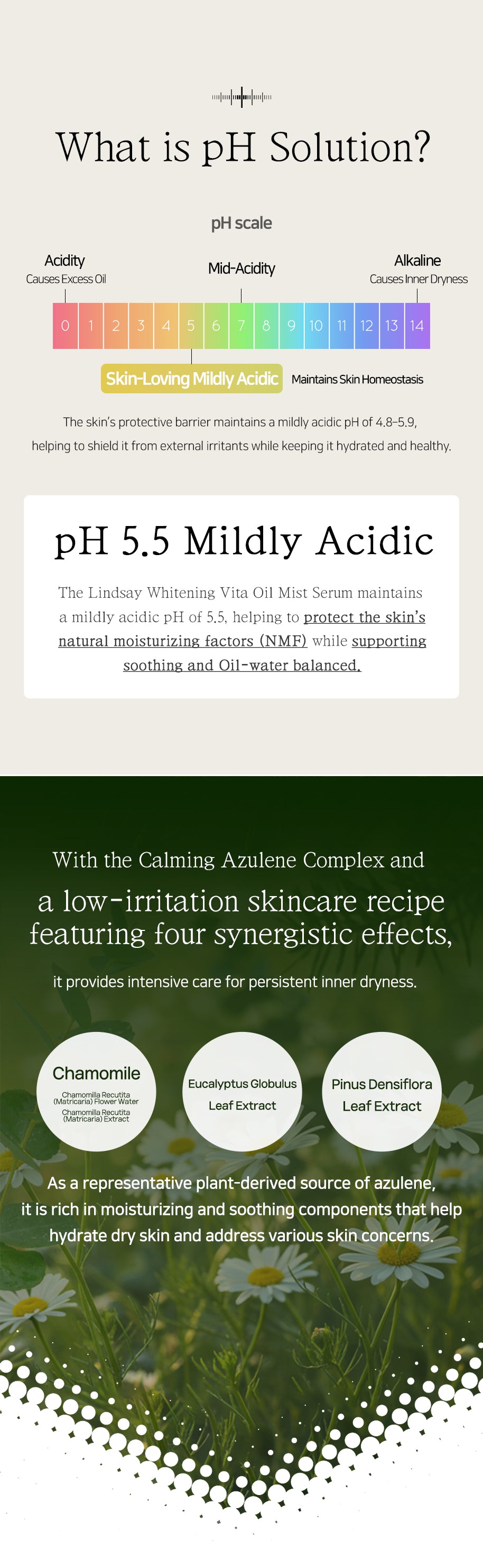 LINDSAY PH Solution Azulene Calming Toner Pad 60PADS 220ML