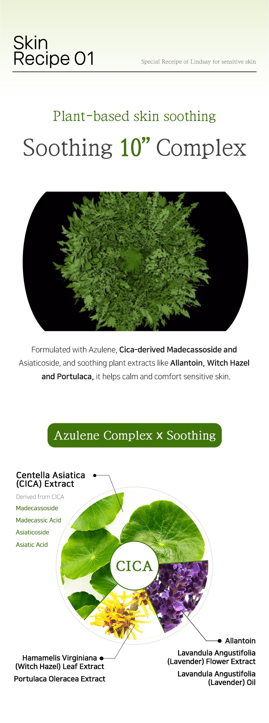 LINDSAY PH Solution Azulene Calming Toner Pad 60PADS 220ML